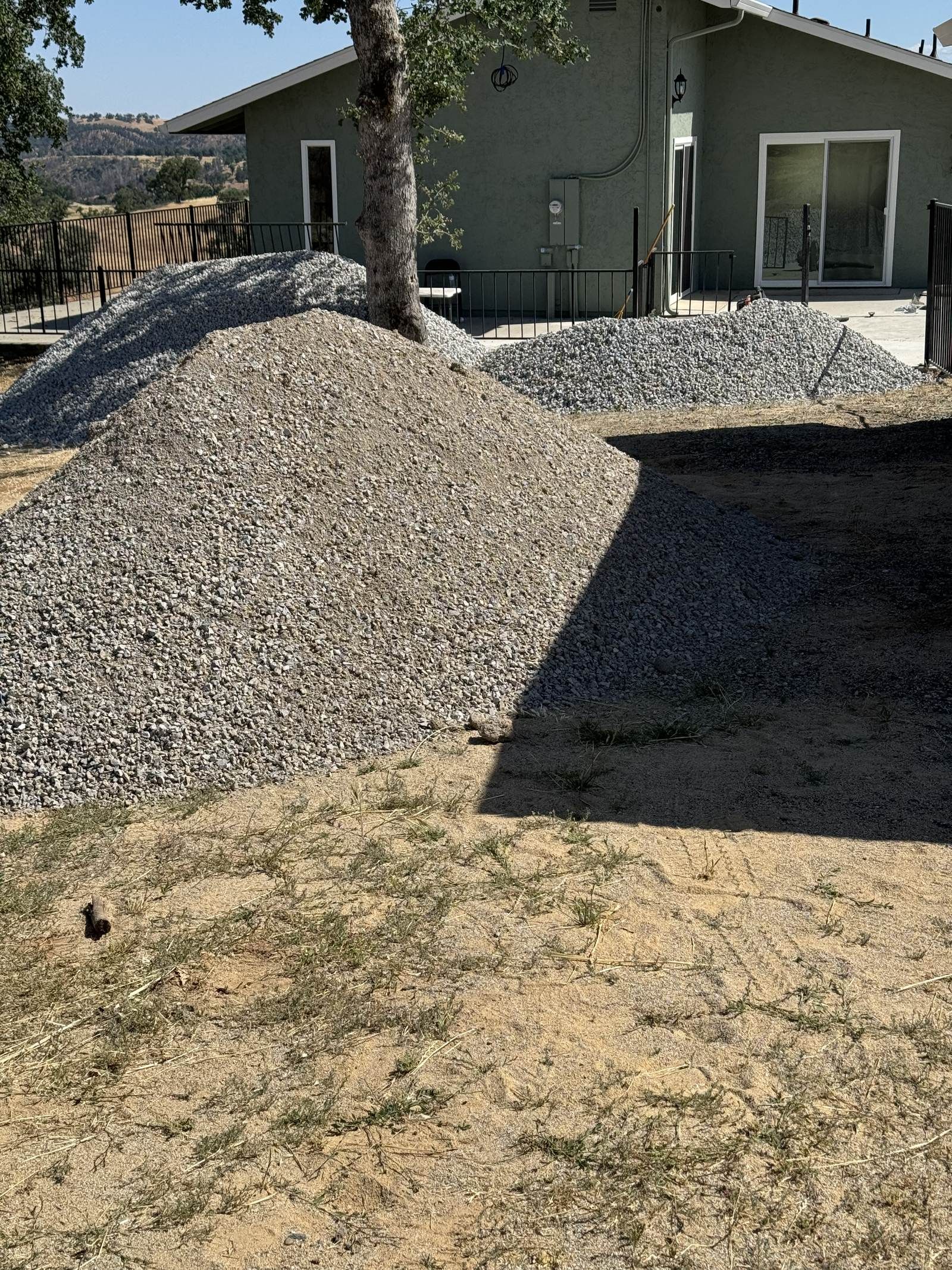 IMG 0198