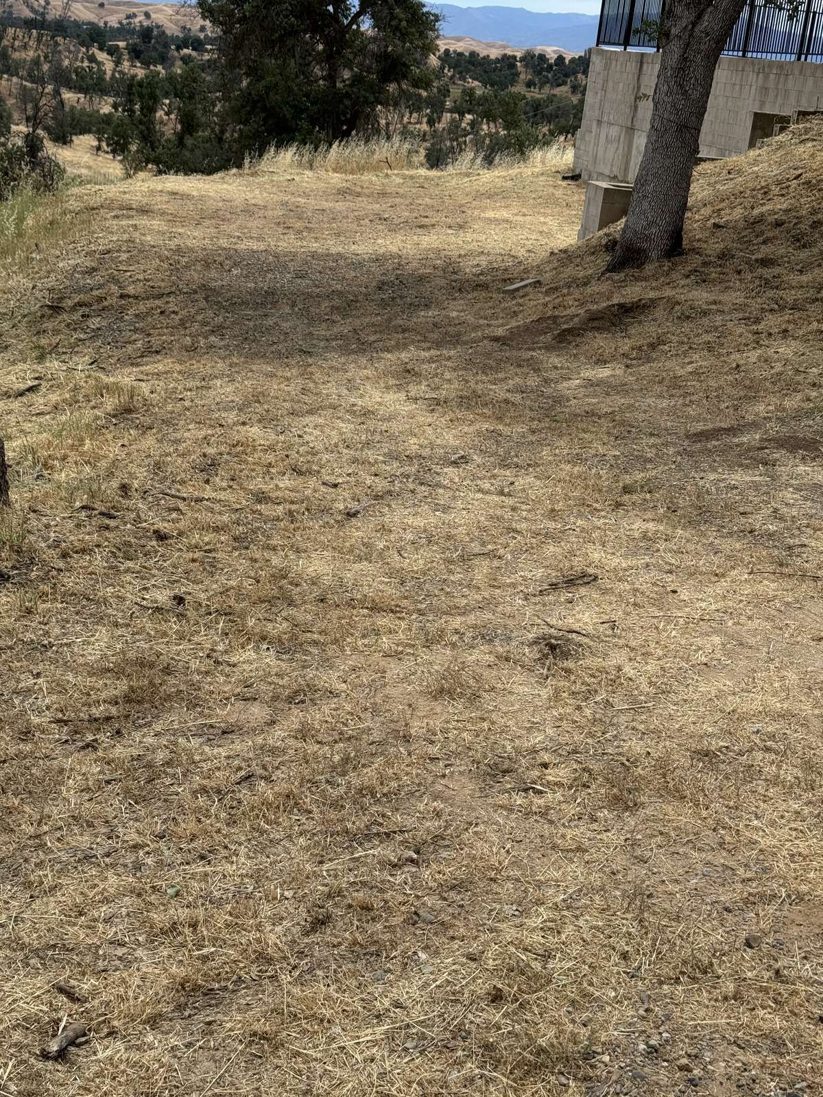 IMG 0211