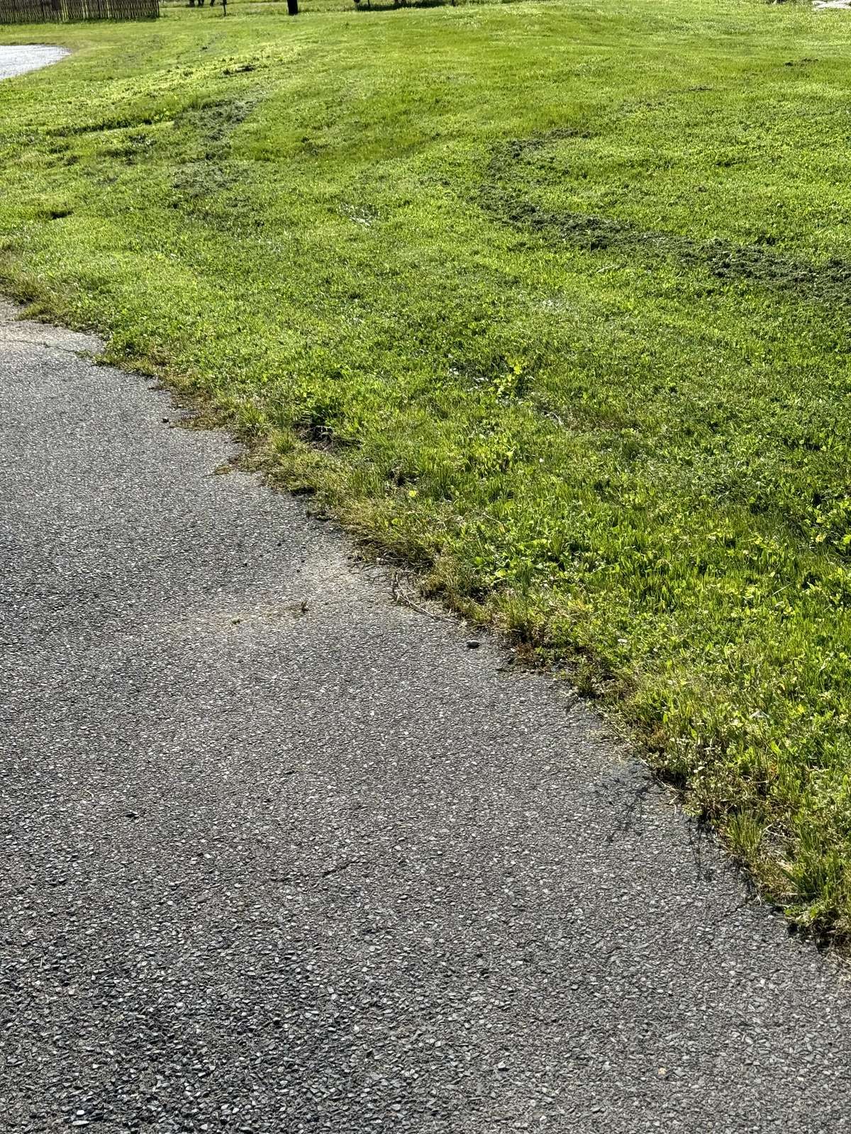 IMG 0120
