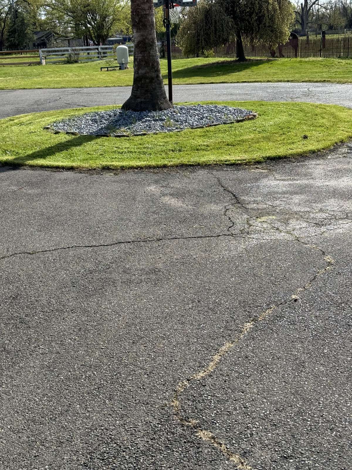 IMG 0121